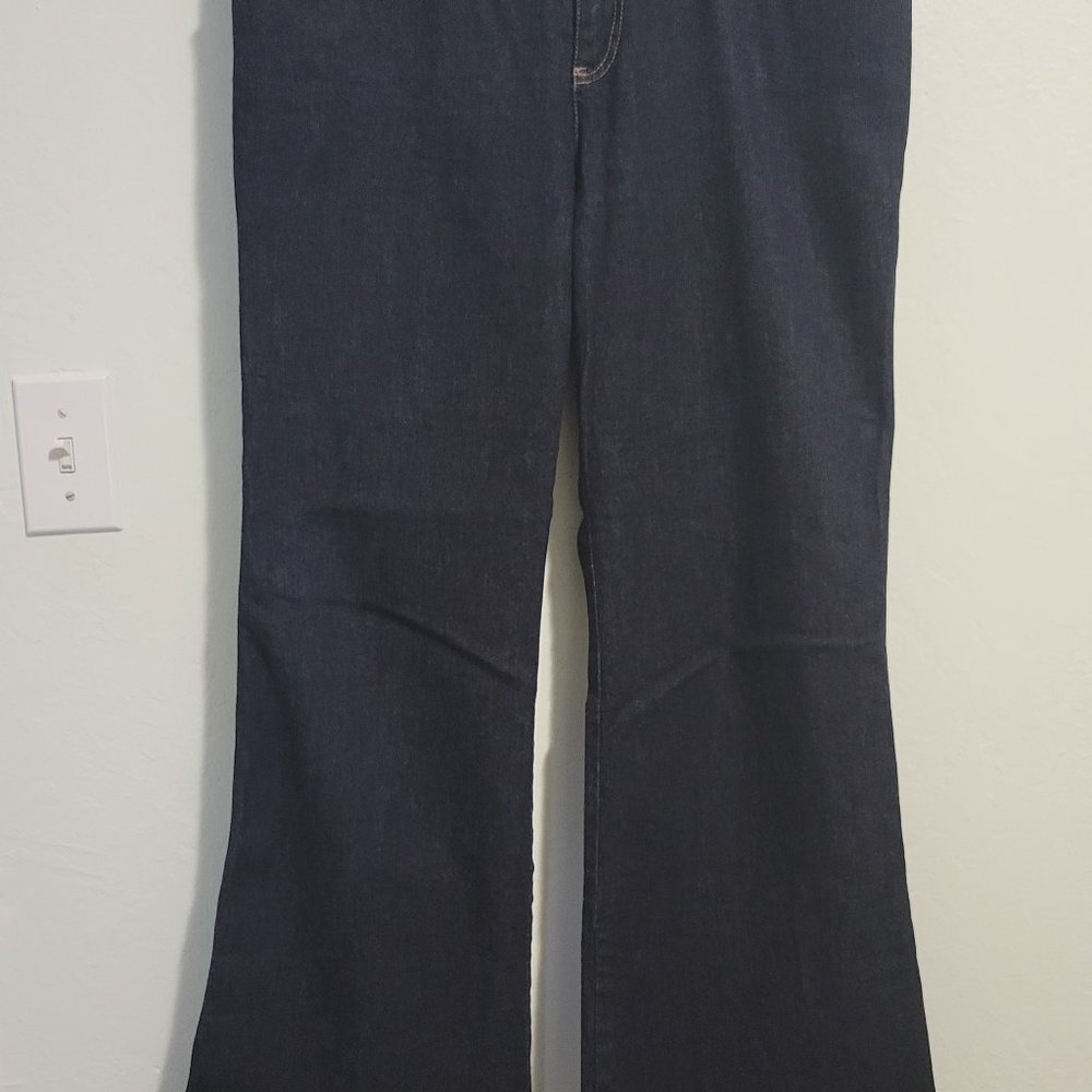 J. Jill Flare Leg Jean (12 P)